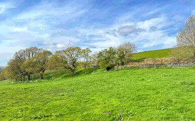 A green meadow stretches across the foreground, framed by a wire fence. Leafy trees line the horizon, under a dynamic sky near, Smithy Lane, Wilsden, UK