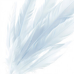 A collection of pristine white swan feathers against a soft, diffused light backdrop. A delicate display of nature's beauty, perfect for luxury, elegance, and purity themes.