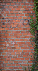 old brick wall with grass