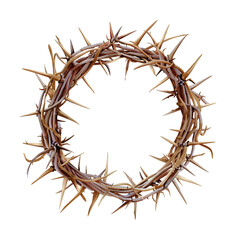Fototapeta premium crown thorns watercolor digital painting good quality