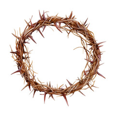 Fototapeta premium crown thorns watercolor digital painting good quality