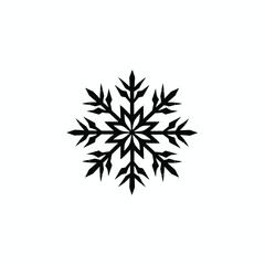Intricate black snowflake design on a white background.