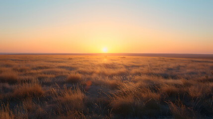 A serene sunrise over a vast prairie with dew-covered grass and a clear blue sky, showcasing the quiet beauty of early morning