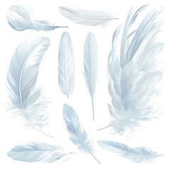 Spectacular Swan Feather Collection - High-Quality Stock Image