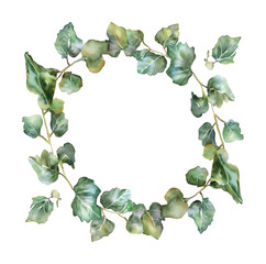 Fototapeta premium circle frame flower leaf watercolor digital painting good quality