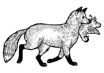 Fox with chicken in mouth sketch engraving PNG illustration. Tee shirt apparel print design. Scratch board style imitation. Black and white hand drawn image.