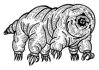 Tardigrade water bear moss piglet micro animal sketch engraving PNG illustration. Tee shirt apparel print design. Scratch board style imitation. Black and white hand drawn image.