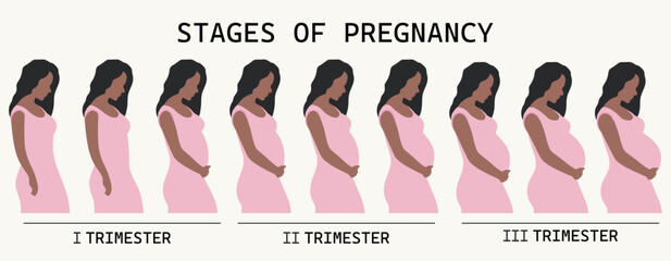 WebThe main stages of pregnancy. Woman's belly shape during pregnancy. Vector illustration in a flat style.