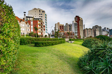 edificios sobresaliendo de parque verde y natural en medio de la ciudad. Mar del Plata, Buenos Aires, Argentina