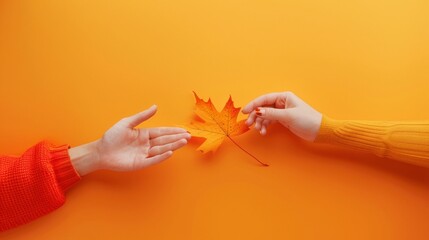 Celebrating Canada Day: Hands Presenting Maple Leaf Against Vibrant Orange Background