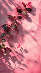 Sustainable Earth Concept: Shadowplay on Boho-Style Pink Wall for World Environment Day