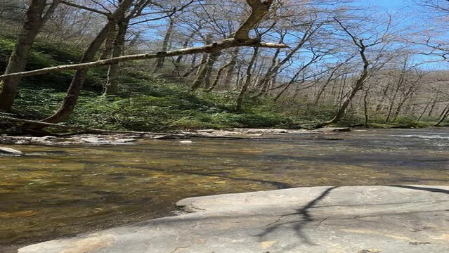 Stream flowing over rocks in early spring