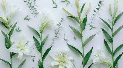 Flat lay of white lilies and foliage on a white background