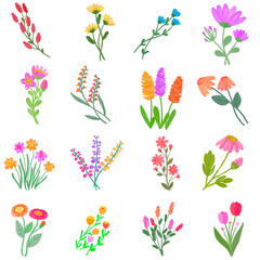 set of flowers