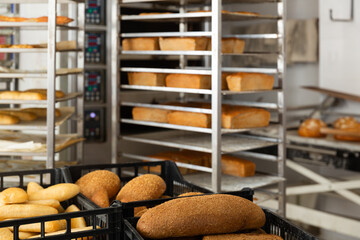 View of appetizing fresh baked bread in bakery