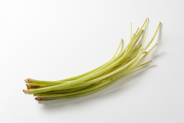 山菜　蕗　白背景