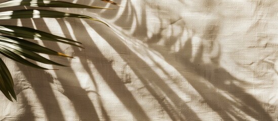 Palm leaf shadows cast on a beige linen fabric background, creating a summer vacation and beach holiday ambiance.