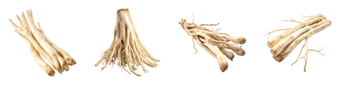 Collection of Marshmallow Root isolated on transparent png background. Generative ai