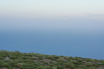 水平線がぼやけて見えない島から見る海の風景