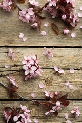 Spring branches with beautiful blossoms and leaves on wooden table, flat lay