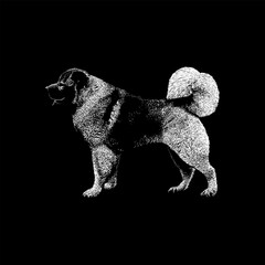 Caucasian Shepherd hand drawing vector isolated on black background.