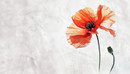 Delicate red poppies painted in watercolor on a white background.