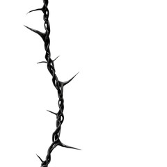 Fototapeta premium A black wire with sharp spikes is shown in a white background