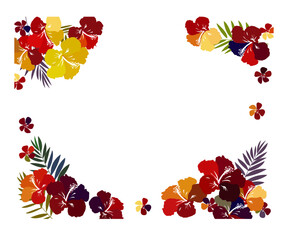 夏の花の背景フレーム