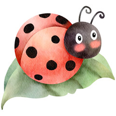 Ladybug watercolor clipart-5
