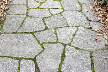 Stone block walk path in the park