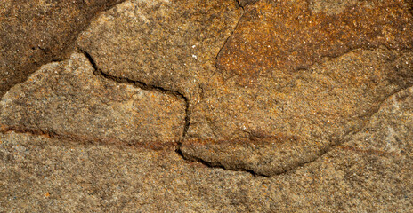 texture of beige sandstone stone
