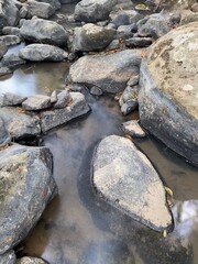 stones in water