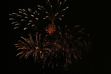 fireworks in the night sky