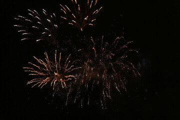fireworks in the night sky