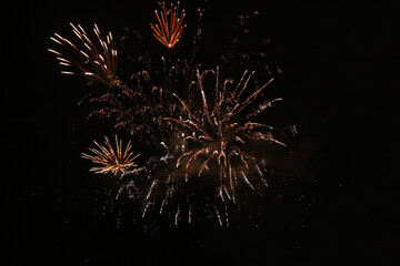 fireworks in the sky