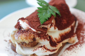 tiramisu cake made of lady finger and leaf on top close up tasty