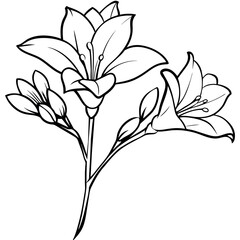 Freesia flower plant outline illustration coloring book page design, Freesia flower plant black and white line art drawing coloring book pages for children and adults
