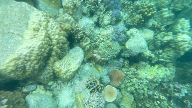 Tourists are enjoy snorkeling underwater at Koh Yak Lek (Island near Koh Chang in Trat, Thailand)