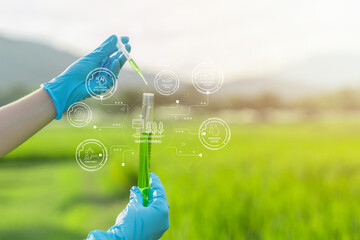 Rice researchers hold test tubes with chemical solutions to conduct research on rice breeding...