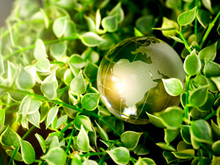 Close-up a small glass world globe on green nature leaves plant background with warm sunlight. Saving planet, earth day, environmental conservation sustainability and global protection concepts.