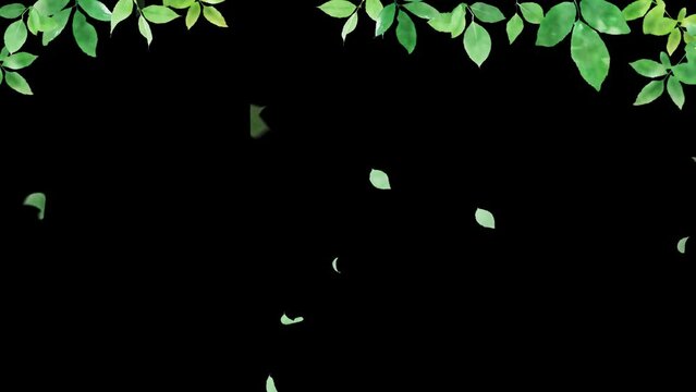 green forest swaying in the wind. Leaves fall. Animation with transparent background.（100）
