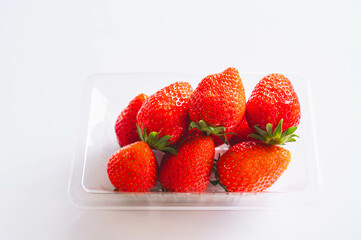 苺　やよいひめ