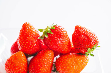 苺　やよいひめ