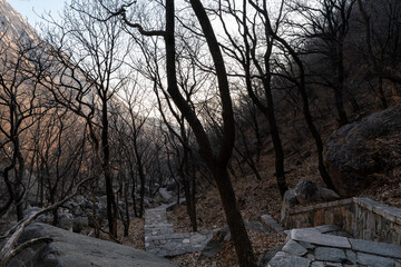 Spring Festival in the the Year of the Loong Scenery of Taishi Mountain, Songshan Mountain, Dengfeng, Zhengzhou, Henan，China