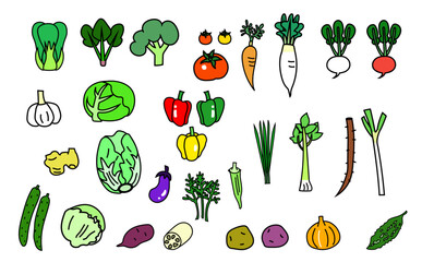 野菜色々セットのイラスト