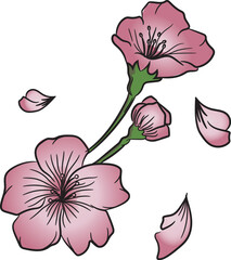 Hand-drawn and colored illustration of cherry blossoms