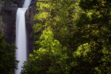 Fototapeta premium Yosemite National Park