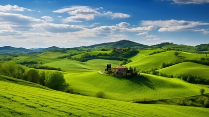 Fototapeta premium landscape with green field and blue sky.