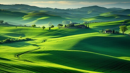 Obraz premium landscape with green field and blue sky.