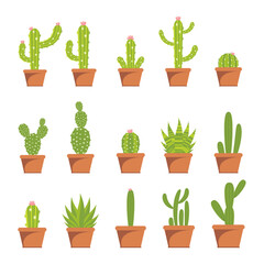 Cactus illustration flat design